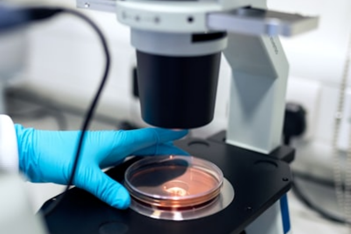 Step glass window in microscopy and imaging systems