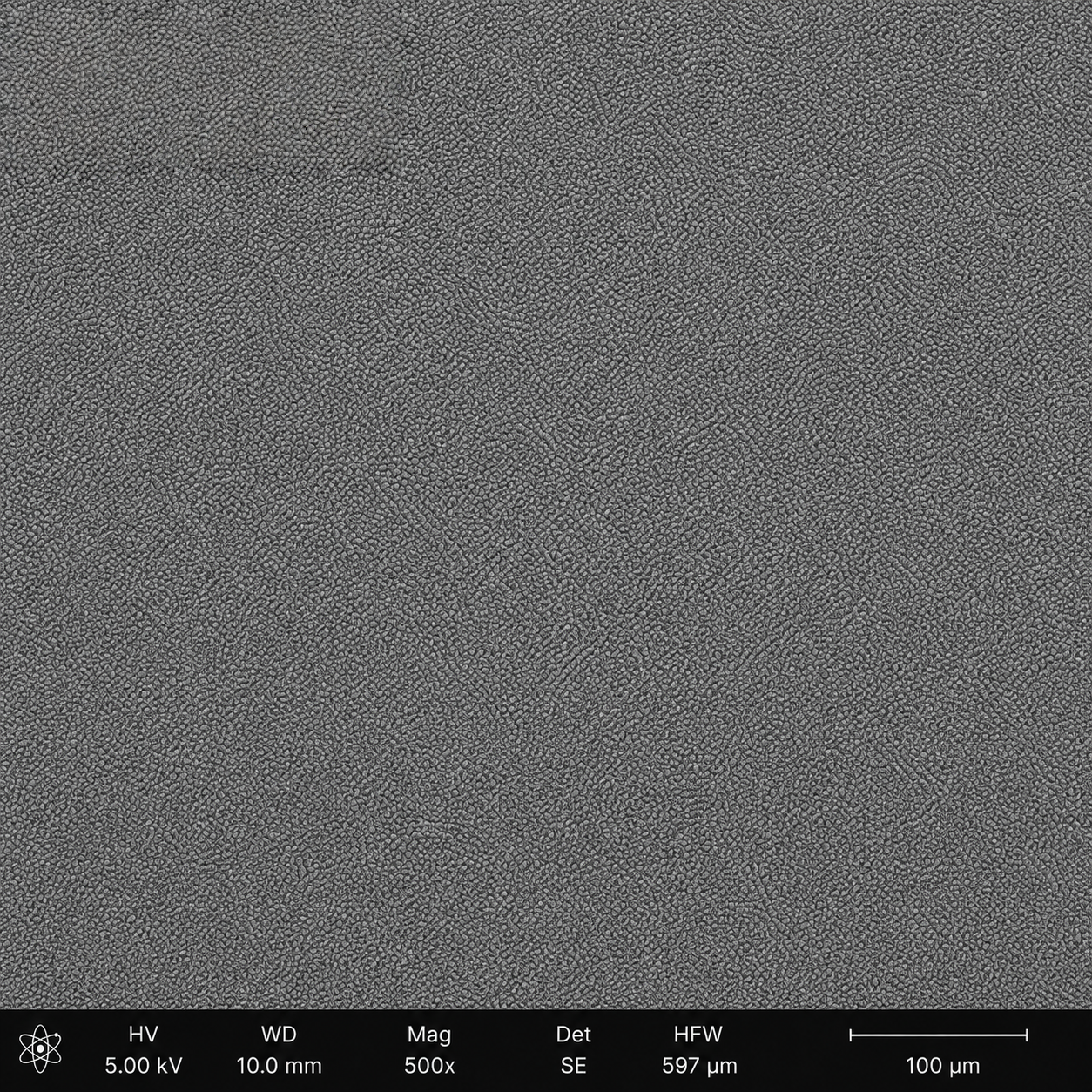 SEM 500x view of Winson etched AG surface showing uniform nano-structure